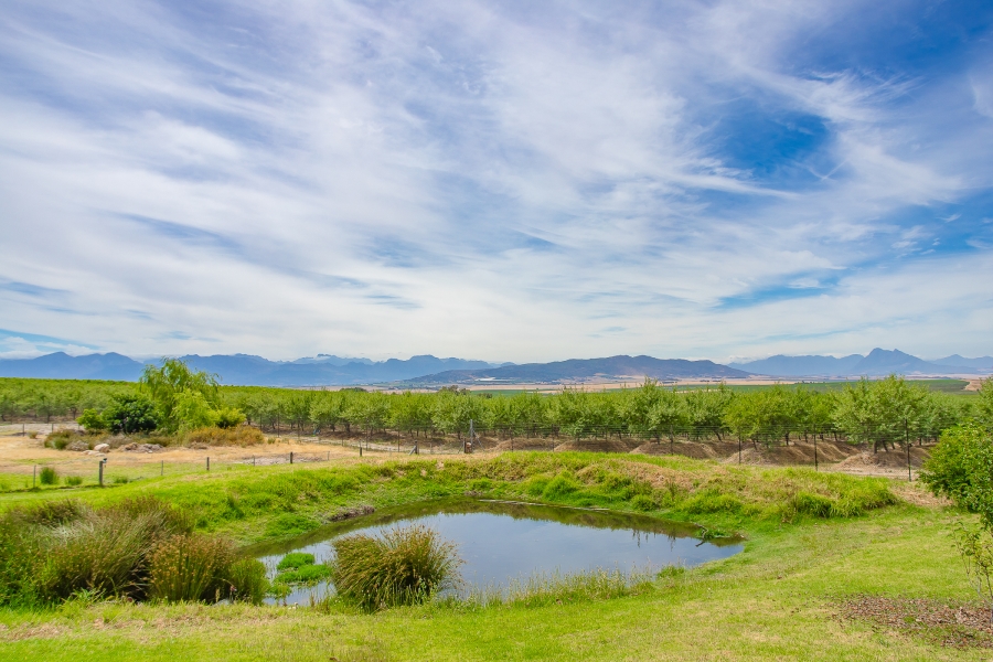 4 Bedroom Property for Sale in Paarl Rural Western Cape